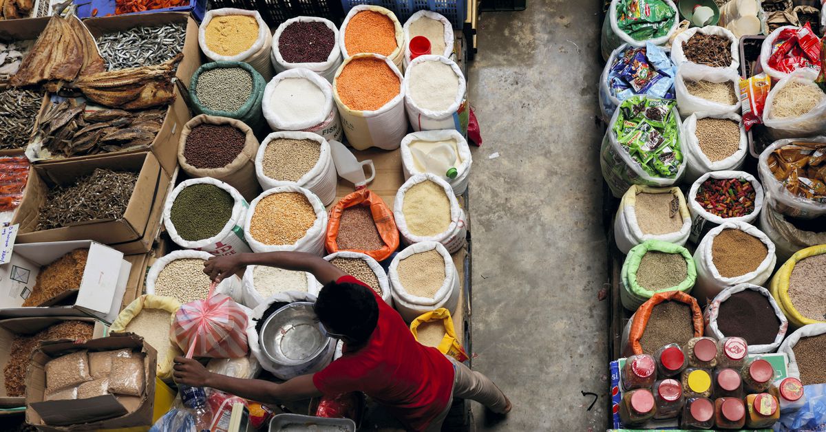 JPMorgan warns 10% of junk-rated emerging markets facing debt crises this year