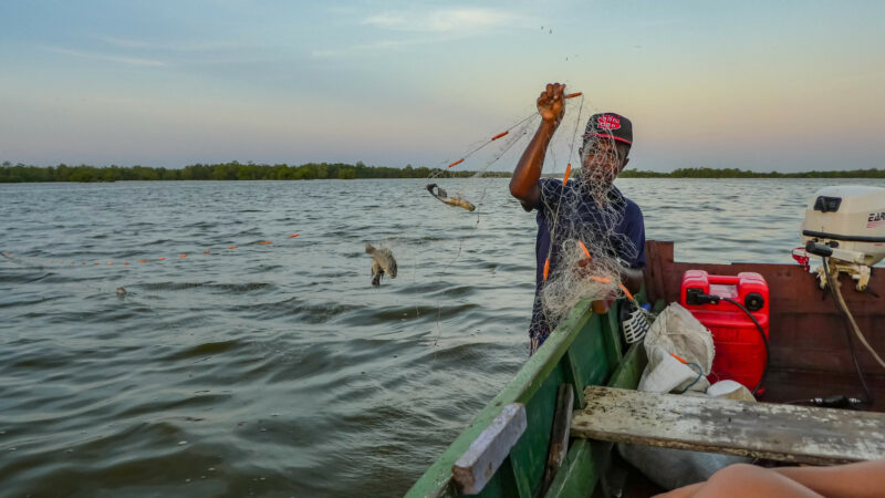 How Surinamese fisheries are being impacted by climate change &mdash; and what's being done about it