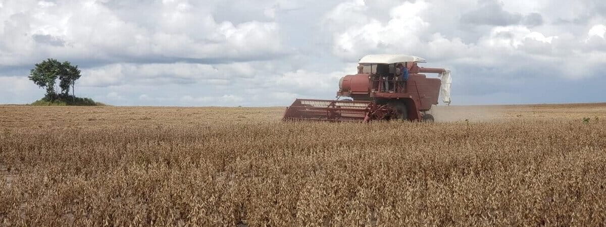 Plan to bring Mennonite farmers to Suriname sparks deforestation fears